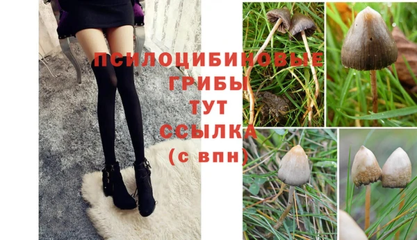 кристаллы Абаза