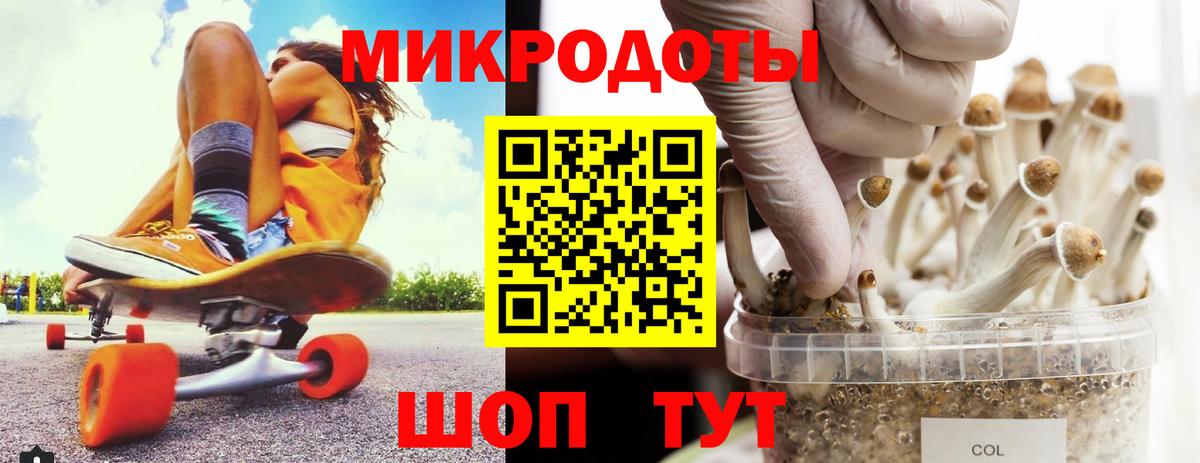 Галлюциногенные грибы Psilocybe  где найти наркотики  Псков  Вход с VPN 