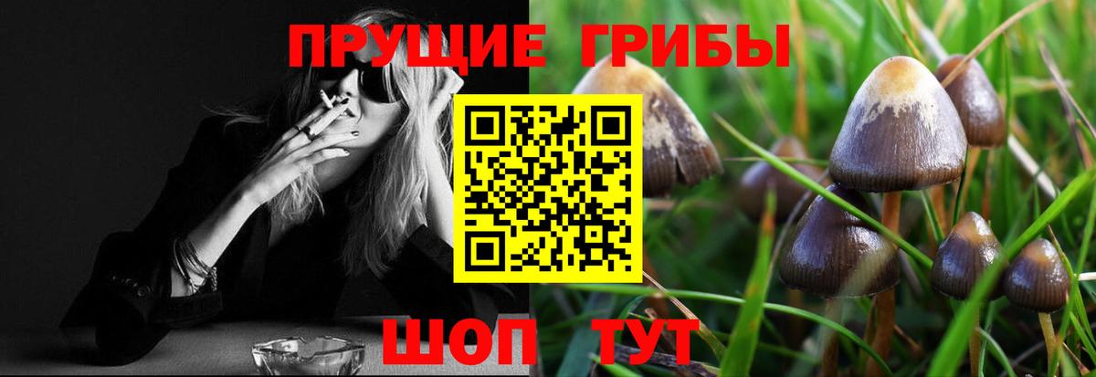 Псилоцибиновые грибы GOLDEN TEACHER Псков